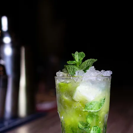 Hotel Novotel Paris Coeur D'orly Airport